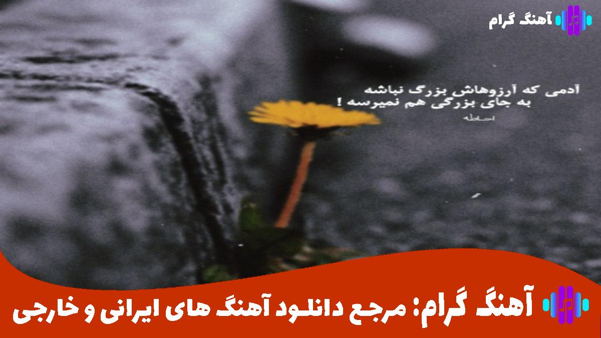 کاور آهنگ وقتی نیستی از هایده